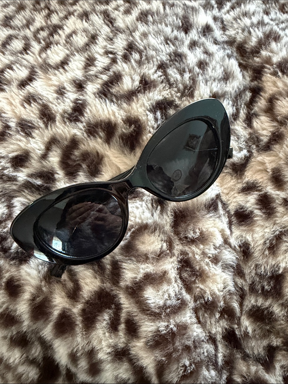 Frye and Co Black Cat-Eye Women's Sunglasses - Classic Chic